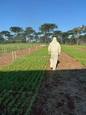 Imagem Campo