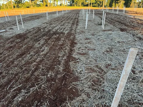 Imagem Campo