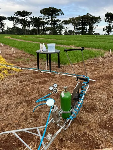 Imagem Campo