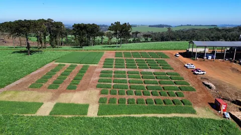 Imagem Campo