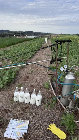 Imagem Campo
