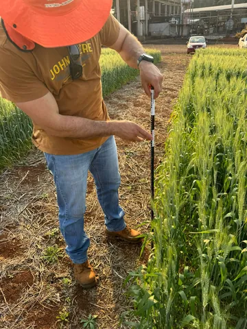 Imagem Campo