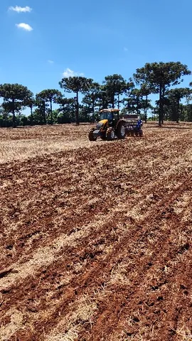Imagem Campo
