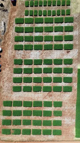Imagem Campo