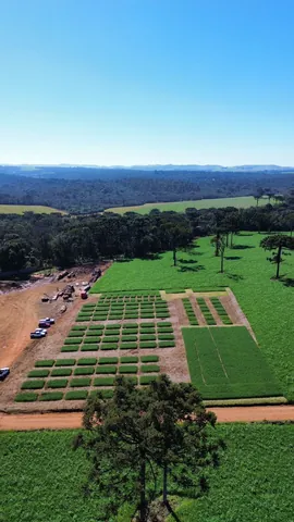 Imagem Campo